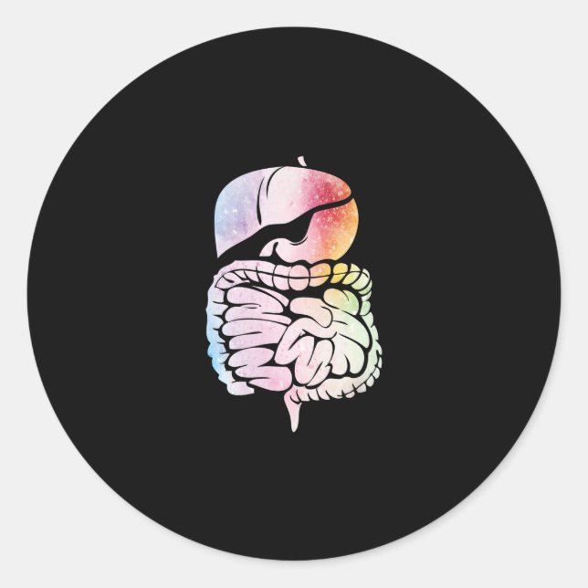 Adesivo Redondo Anatomia dos órgãos internos humanos Sistema diges (Frente)