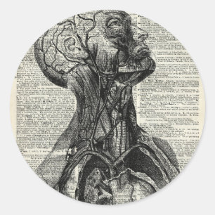 Adesivo Redondo Anatomia humana médica