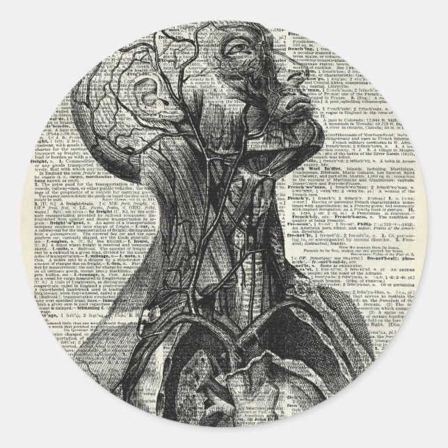 Adesivo Redondo Anatomia humana médica (Frente)