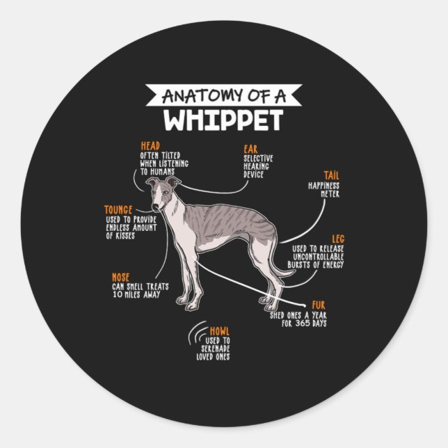 Adesivo Redondo Anatomy Of A Whippet Dog (Frente)