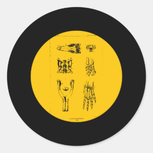 Adesivo Redondo Anchisauro e Ammosauro