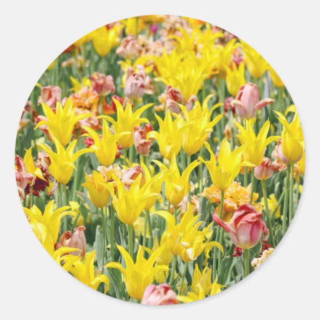 Adesivo Redondo And Life Goes On  (Frente)