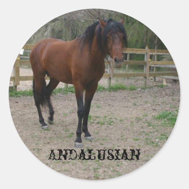 Adesivo Redondo Andaluz (Frente)