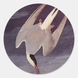 Adesivo Redondo Andorinha-do-ártico por John James Audubon, Aves A