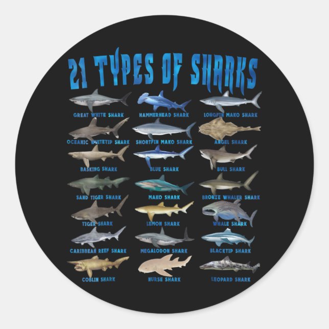 Adesivo Redondo Anéis De Tubarões 21 Tipos De Tubarões Oceanos (Frente)