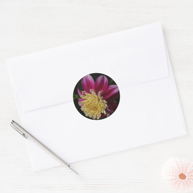 Adesivo Redondo Anemone rosa Dahlia Bloom Floral (Envelope)