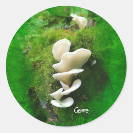 Adesivo Redondo Angel Wing Mushroom - Envelope Stickers