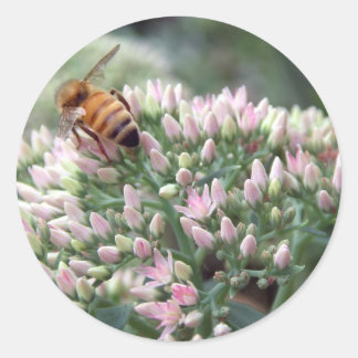 Adesivo Redondo Angelic Honeybee Sticker