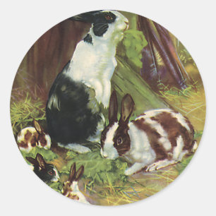 Adesivo Redondo Animais de Fazenda Antigos, Coelhos de Estimação B