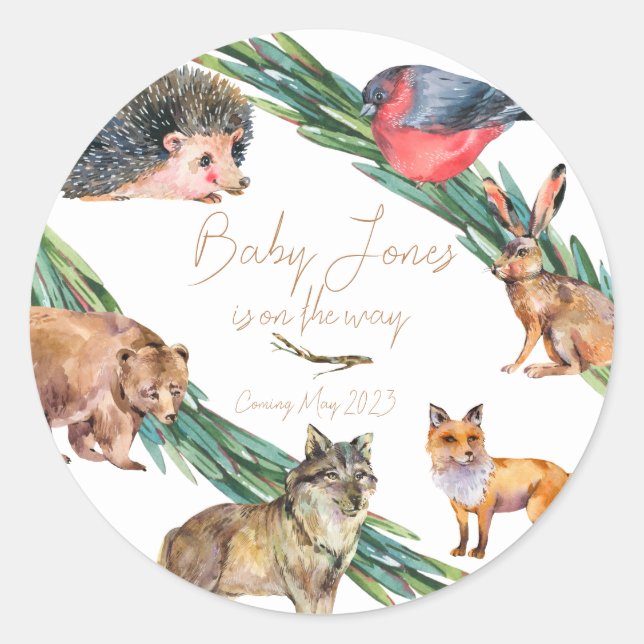 Adesivo Redondo Animais Florestais | Vinheta multiuso | Fauna (Frente)