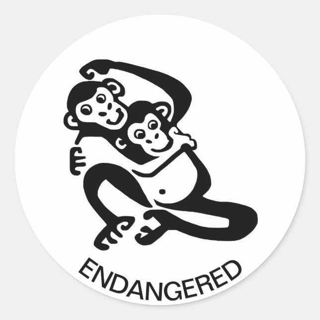 Adesivo Redondo Animais selvagens - BONOBO Legal - Chimpanzé - Áfr (Frente)