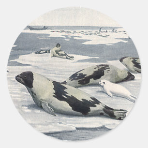Adesivo Redondo Animais Selvagens Vintage, Selos Árticos Harbor I