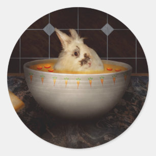 Adesivo Redondo Animal - Coelho - Há uma lebre na minha sopa