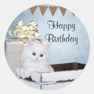 Adesivo Redondo Aniversário do gatinho branco persa