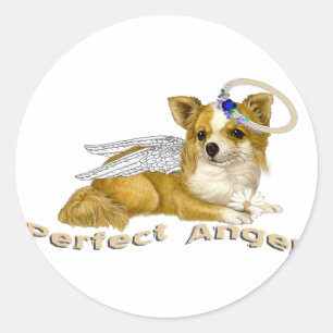 Adesivo Redondo Anjo perfeito da chihuahua