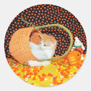 Adesivo Redondo Annie's Chill'ax -Cat Halloween
