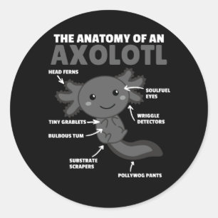 Adesivo Redondo Anotação Axolotl Anatomia De Um Axolotl