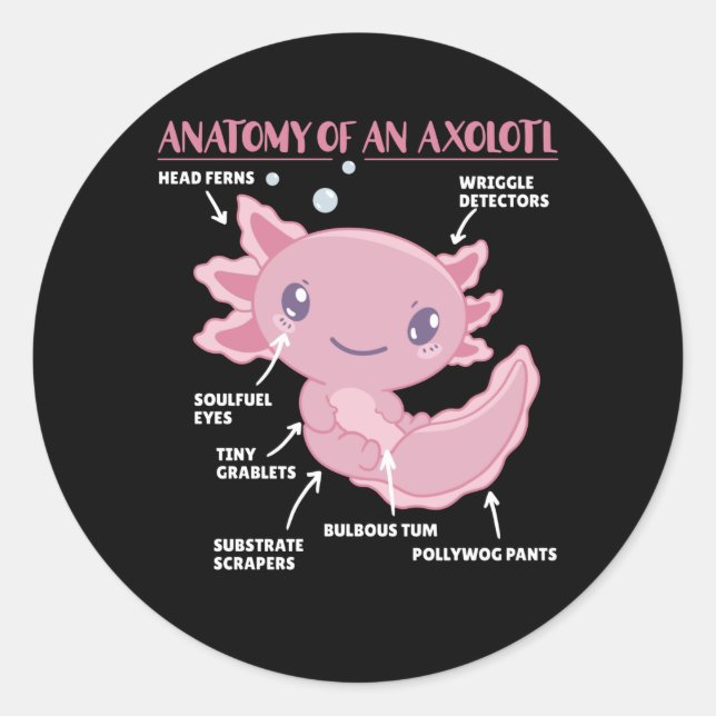 Adesivo Redondo Anotação Axolotl Anatomia De Um Axolotl (Frente)