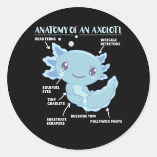 Adesivo Redondo Anotação Axolotl Anatomia De Um Axolotl