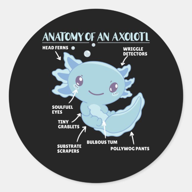 Adesivo Redondo Anotação Axolotl Anatomia De Um Axolotl (Frente)