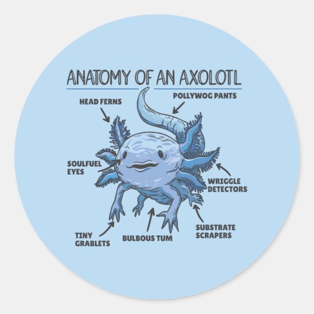 Adesivo Redondo Anotação Axolotl Anatomia De Um Clássico Axolotl (Frente)
