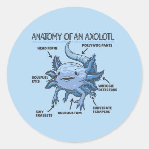 Adesivo Redondo Anotação Axolotl Anatomia De Um Clássico Axolotl
