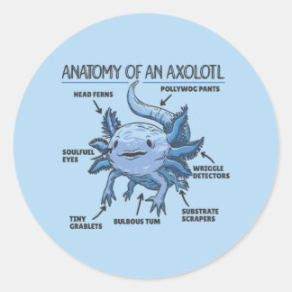 Adesivo Redondo Anotação Axolotl Anatomia De Um Clássico Axolotl