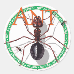Adesivo Redondo Ant Sticker