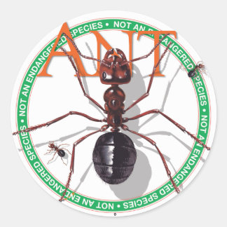 Adesivo Redondo Ant Sticker