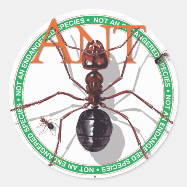 Adesivo Redondo Ant Sticker (Frente)