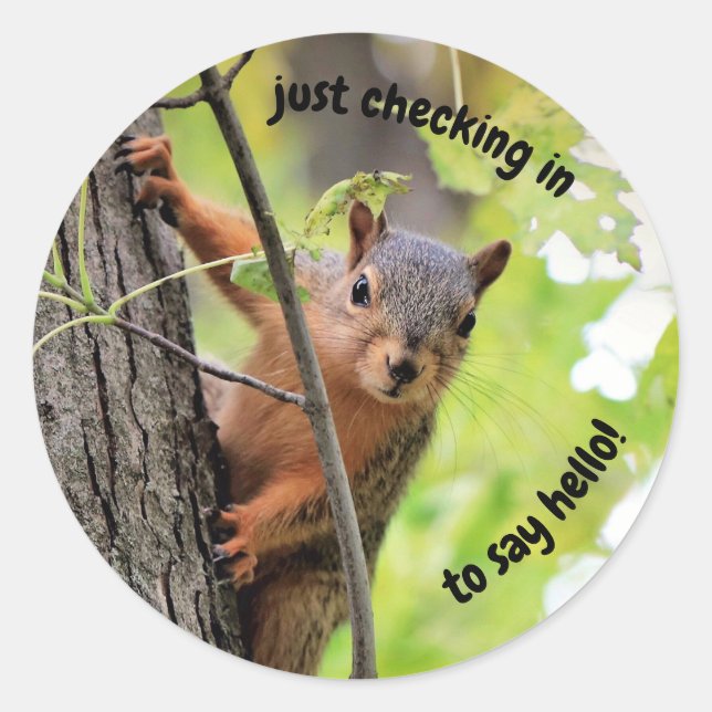 Adesivo Redondo Apenas Verificando Os Pentes (Frente)