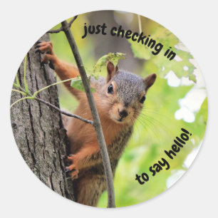 Adesivo Redondo Apenas Verificando Os Pentes