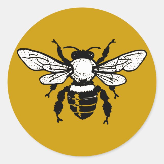Adesivo Redondo Apis Mellifera Honeybee Sticker (Frente)
