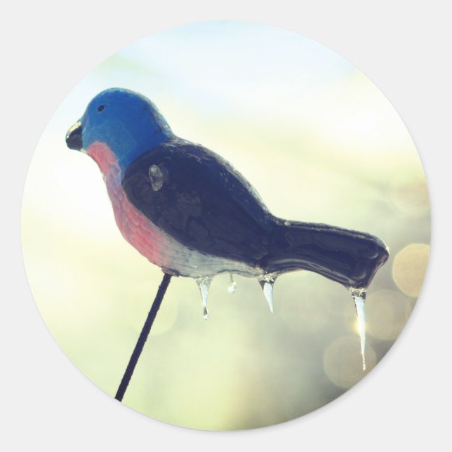 Adesivo Redondo Após A Tempestade Winter Nature (Frente)