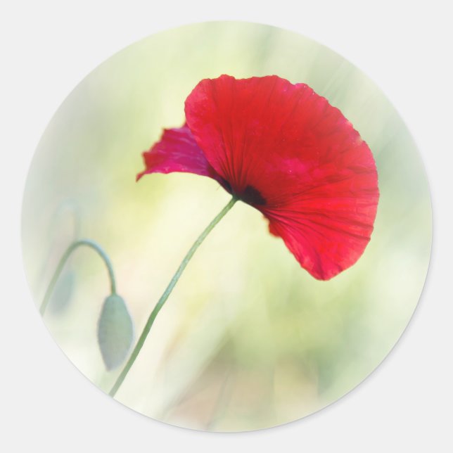 Adesivo Redondo Apron com papoila vermelha "Seja feliz!" (Frente)