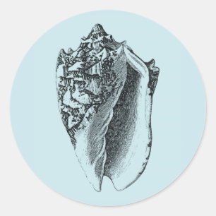 Adesivo Redondo Aqua Conch Shell