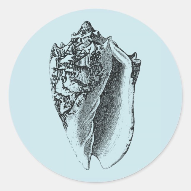 Adesivo Redondo Aqua Conch Shell (Frente)