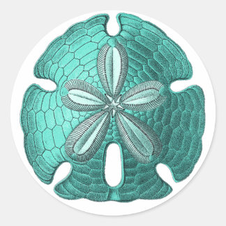 Adesivo Redondo Aqua Sand Dollar