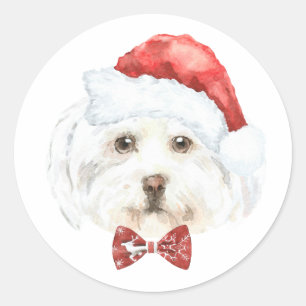 Adesivo Redondo Aquarela de maltês com chapéu de Papai Noel no Nat