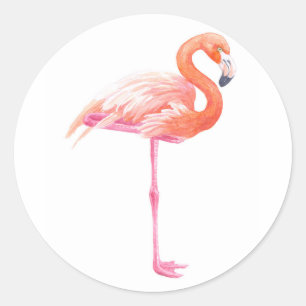 Adesivo Redondo Aquarela Flamingo