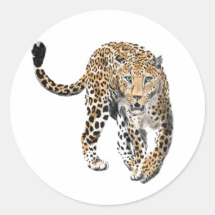 Adesivo Redondo aquarela leopardo gato da selva animal pintado ver