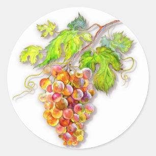 Adesivo Redondo Aquarela Uvas & Folhas Verdes – Colheita Artística