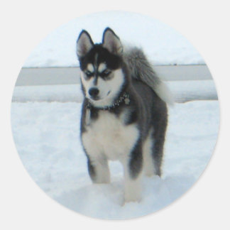 Adesivo Redondo Aqui está o problema