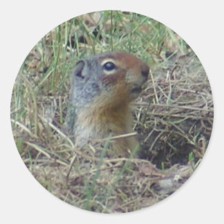 Adesivo Redondo Aqui estou eu