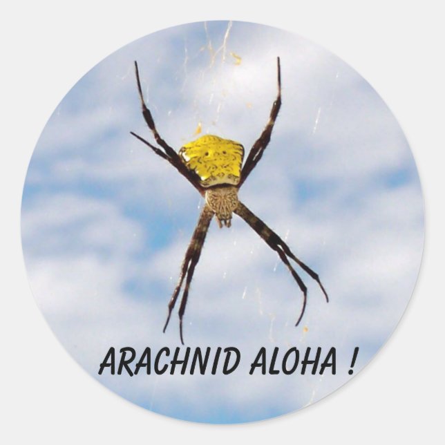 Adesivo Redondo Arachnid Aloha aranha do jardim havaiano (Frente)