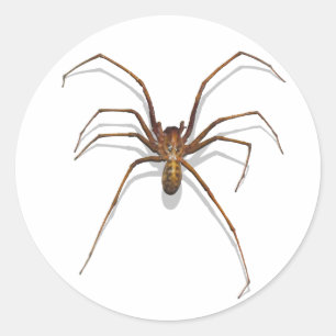 Adesivo Redondo Aranha