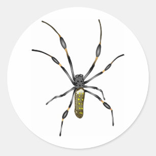 Adesivo Redondo Aranha dourada da esfera