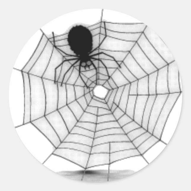 Adesivo Redondo Aranha em sua Web (Frente)