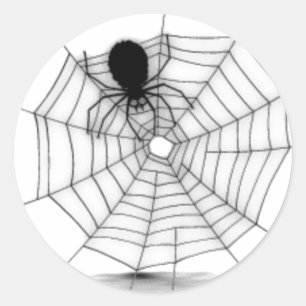 Adesivo Redondo Aranha em sua Web