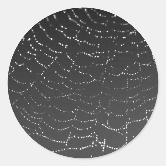 Adesivo Redondo Aranha Esponteada (Frente)